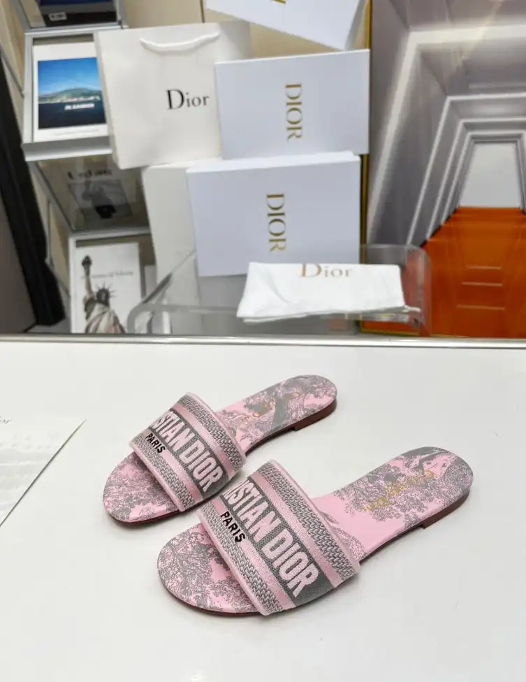 hype Christian Dior Slippers