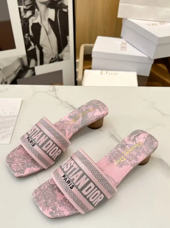 hype Christian Dior Slippers