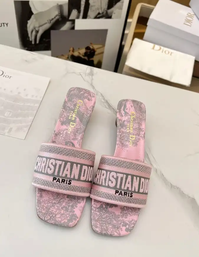 hype Christian Dior Slippers