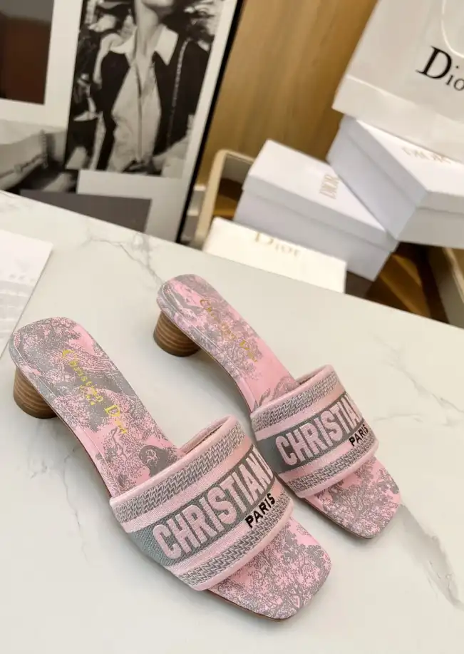 hype Christian Dior Slippers