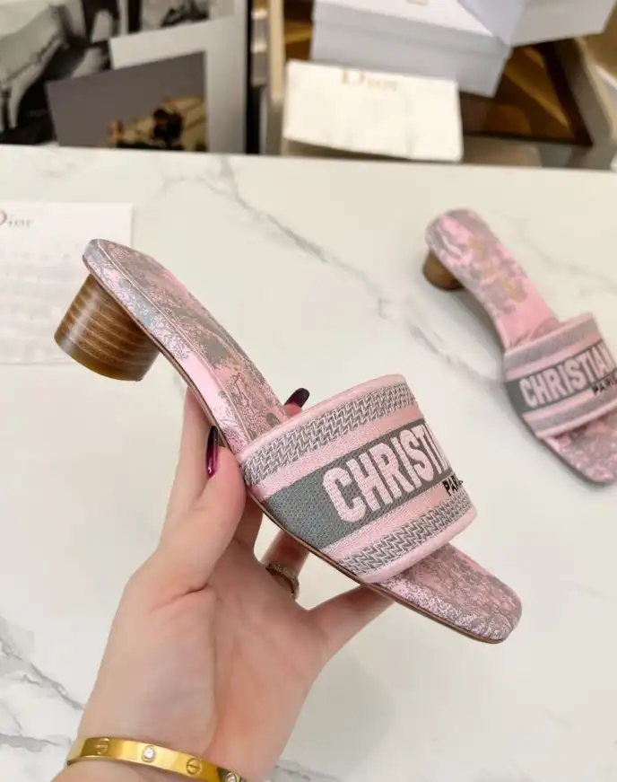 hype Christian Dior Slippers