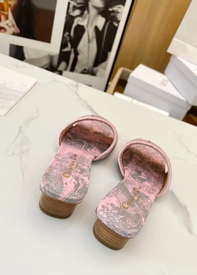 hype Christian Dior Slippers