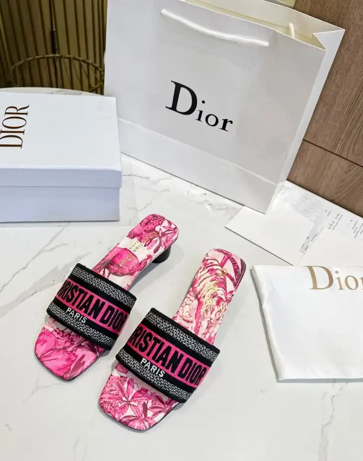 hype Christian Dior Slippers