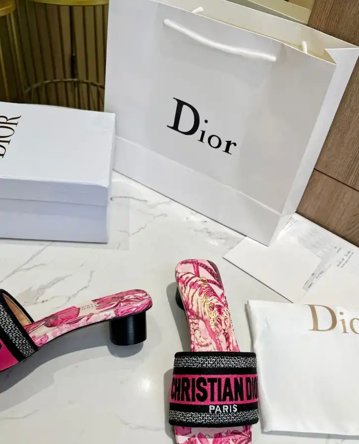 hype Christian Dior Slippers