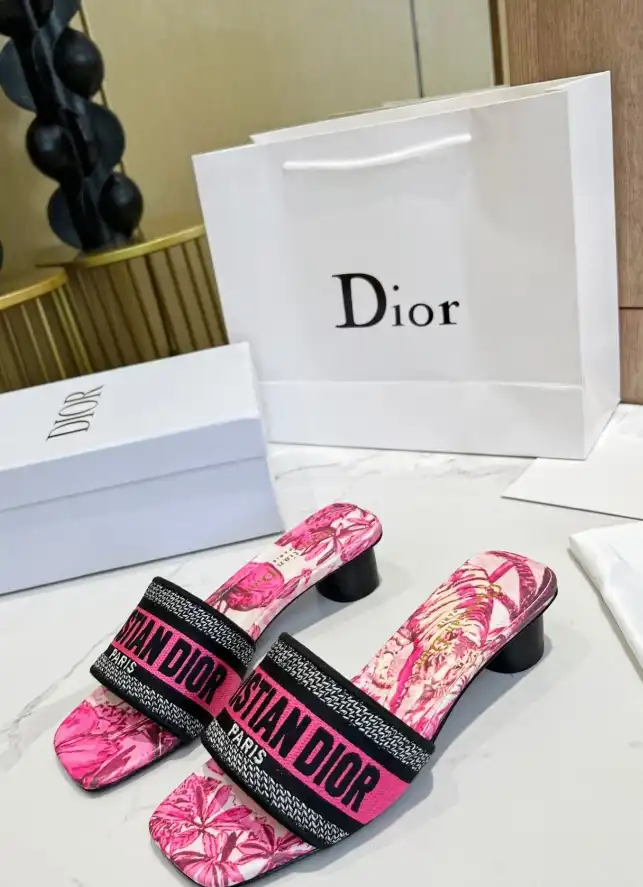 hype Christian Dior Slippers