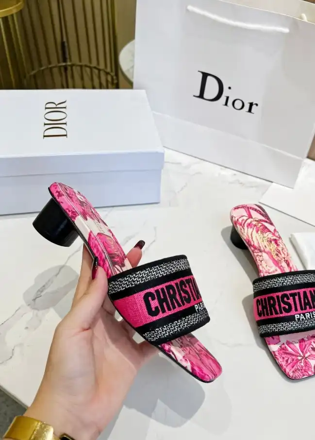 hype Christian Dior Slippers