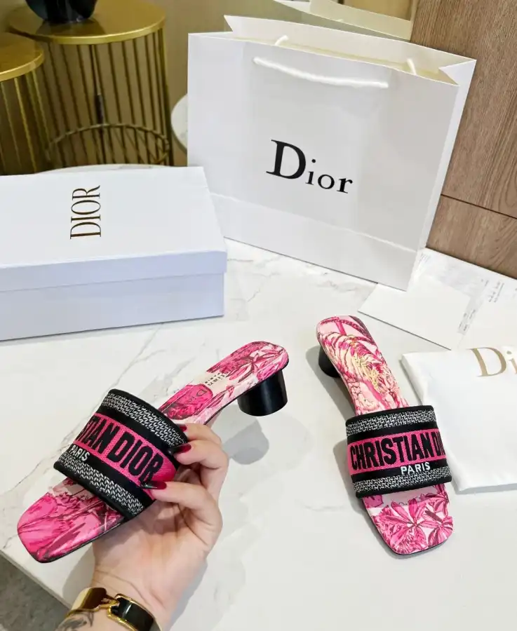 hype Christian Dior Slippers