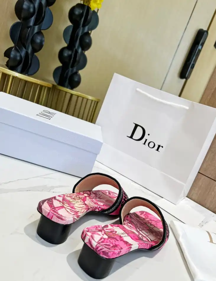 hype Christian Dior Slippers