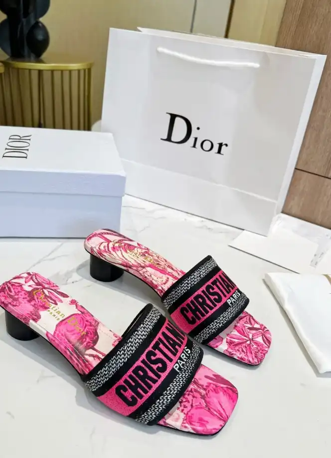 hype Christian Dior Slippers