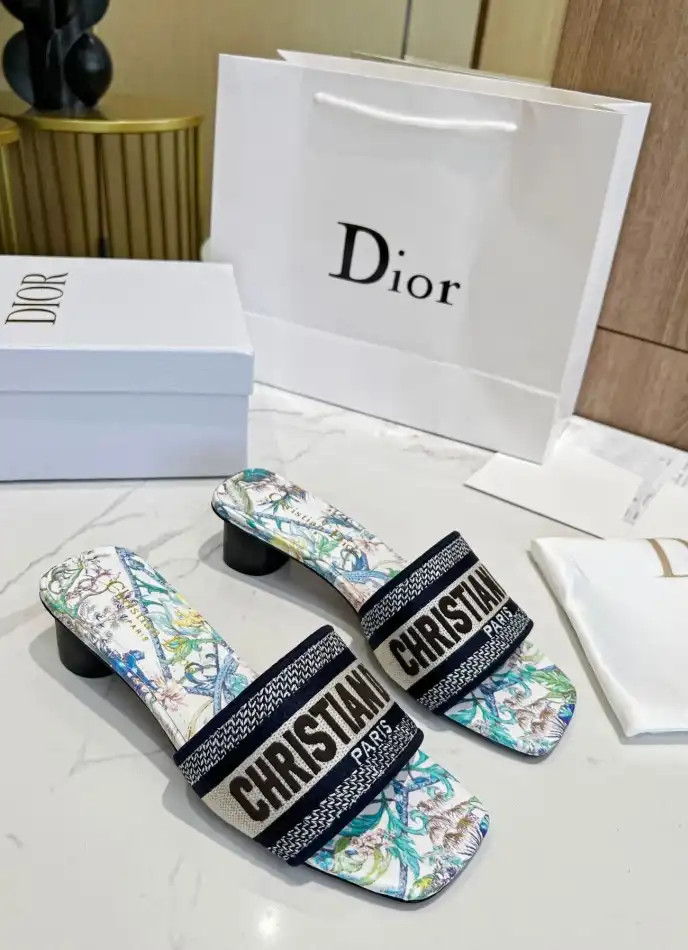 hype Christian Dior Slippers