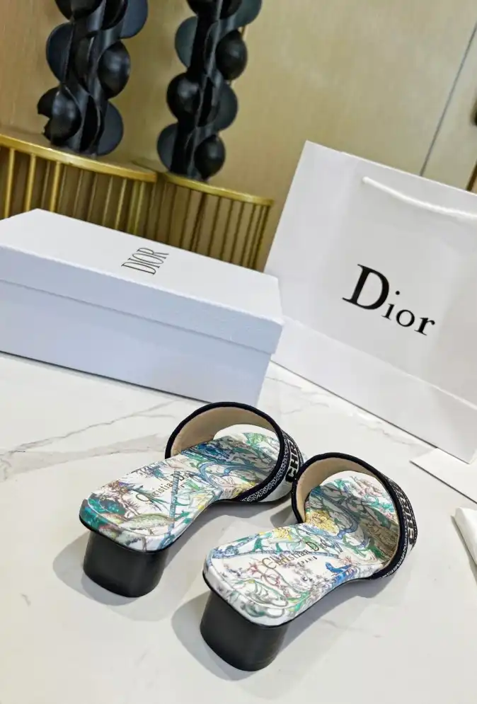 hype Christian Dior Slippers