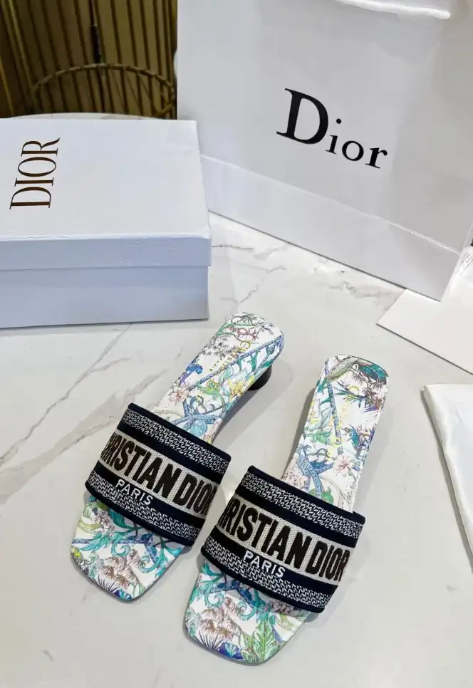 hype Christian Dior Slippers