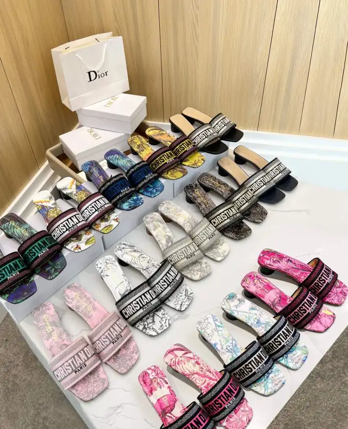 hype Christian Dior Slippers