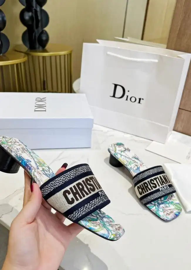 hype Christian Dior Slippers