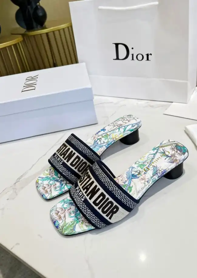 hype Christian Dior Slippers