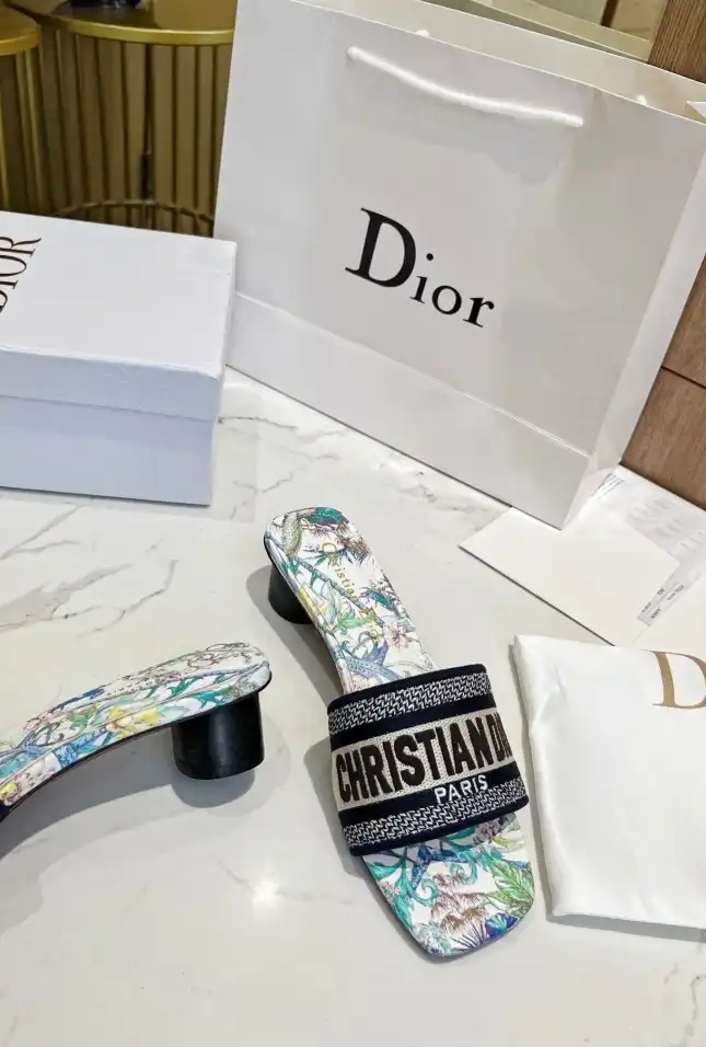 hype Christian Dior Slippers