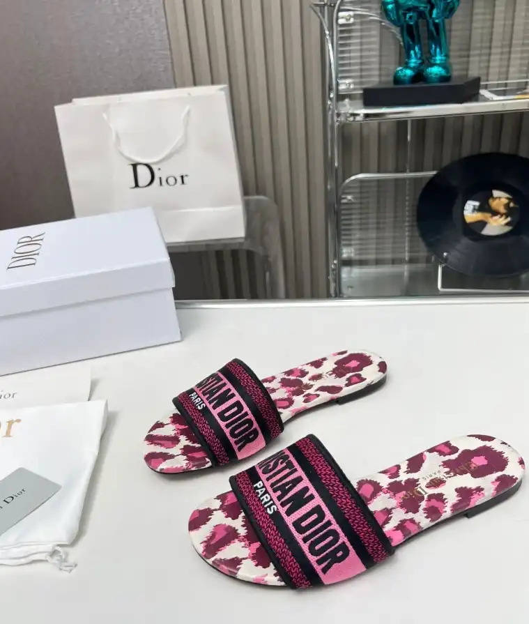 hype Christian Dior Slippers