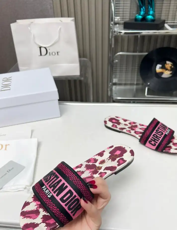 hype Christian Dior Slippers