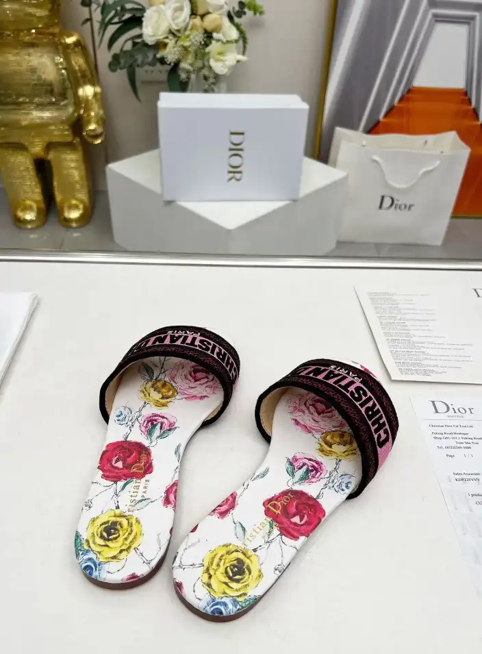 hype Christian Dior Slippers