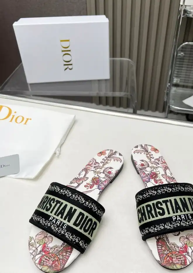 hype Christian Dior Slippers