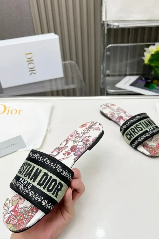 hype Christian Dior Slippers