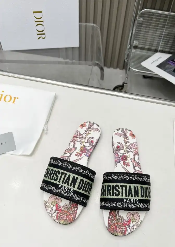 hype Christian Dior Slippers