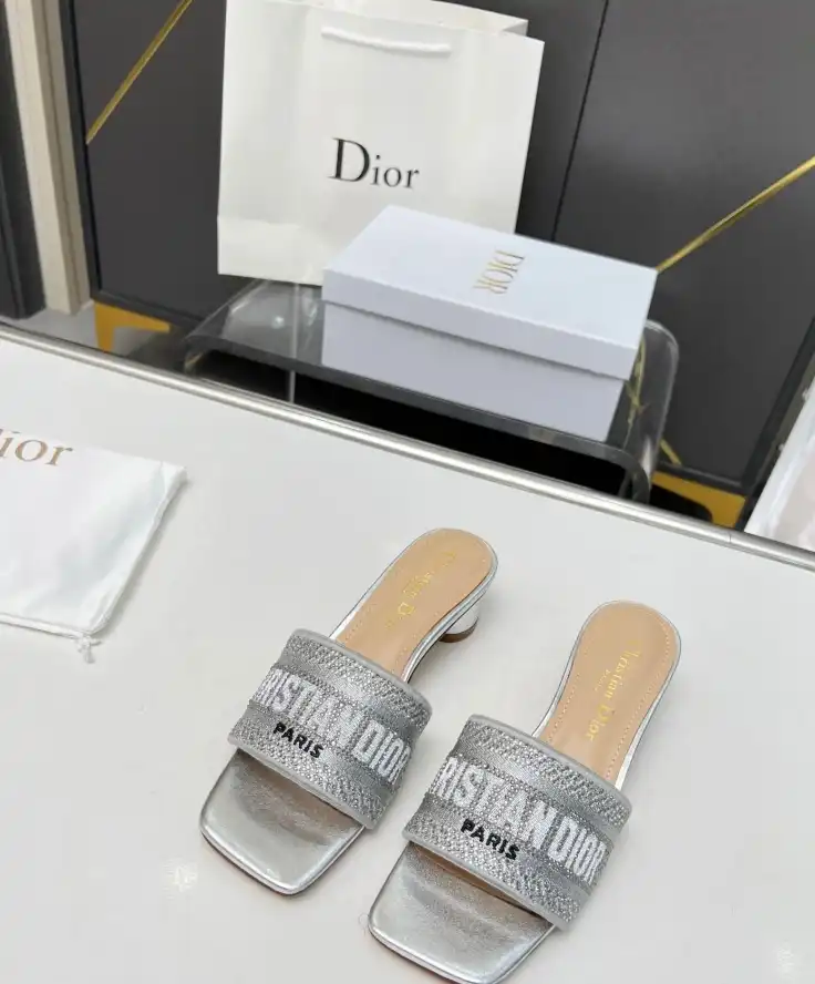 hype Christian Dior Slippers