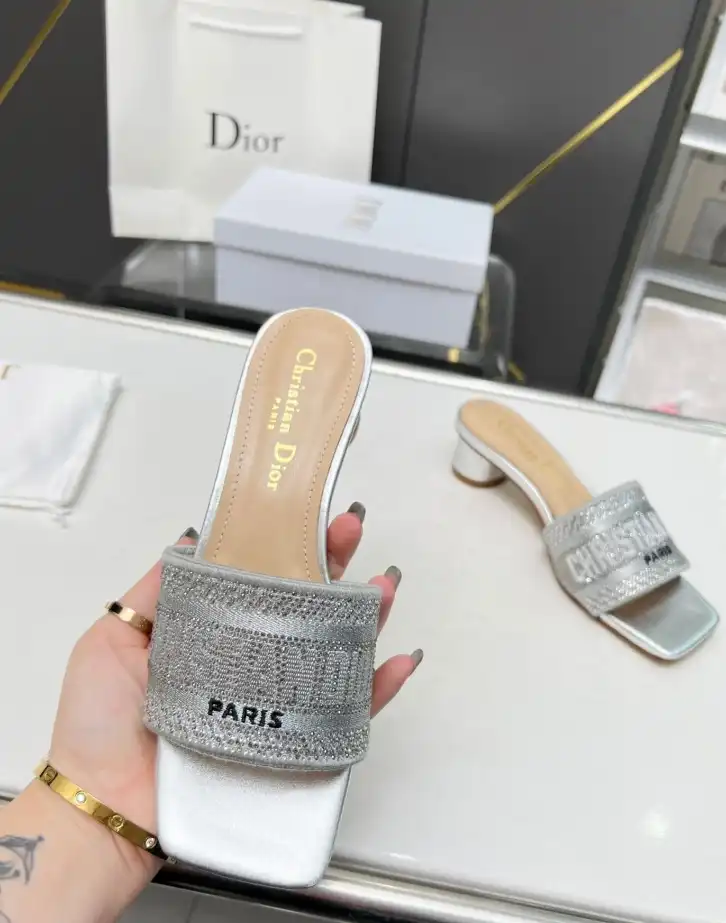 hype Christian Dior Slippers