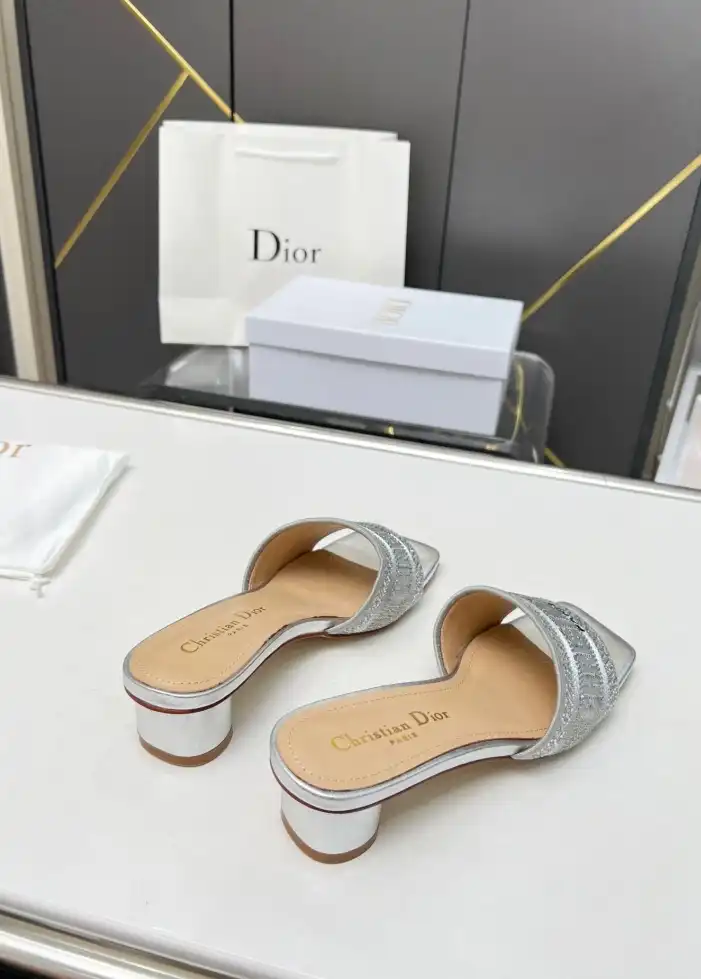 hype Christian Dior Slippers