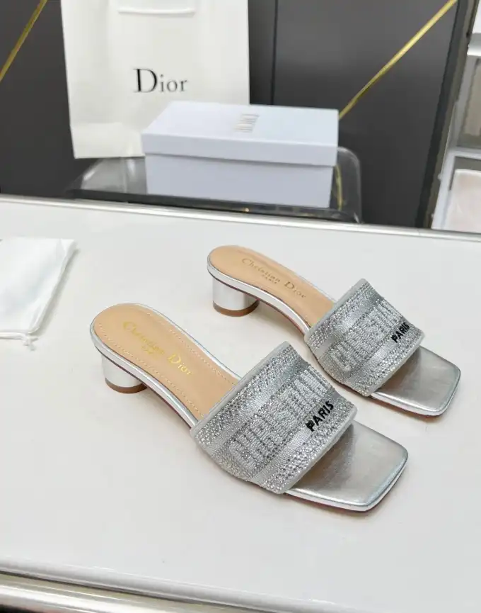 hype Christian Dior Slippers