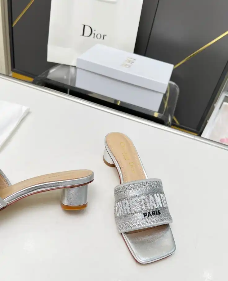 hype Christian Dior Slippers