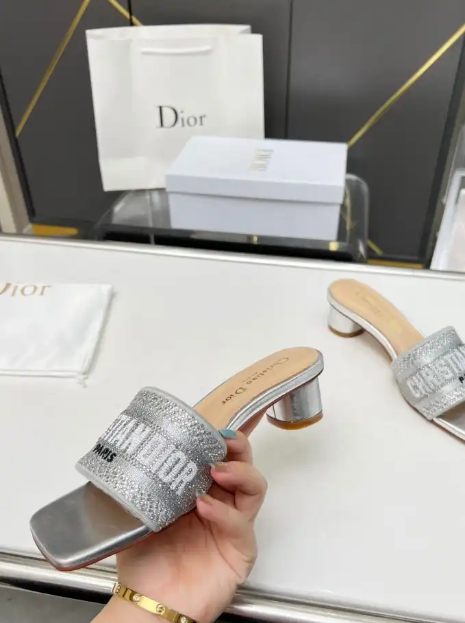 hype Christian Dior Slippers