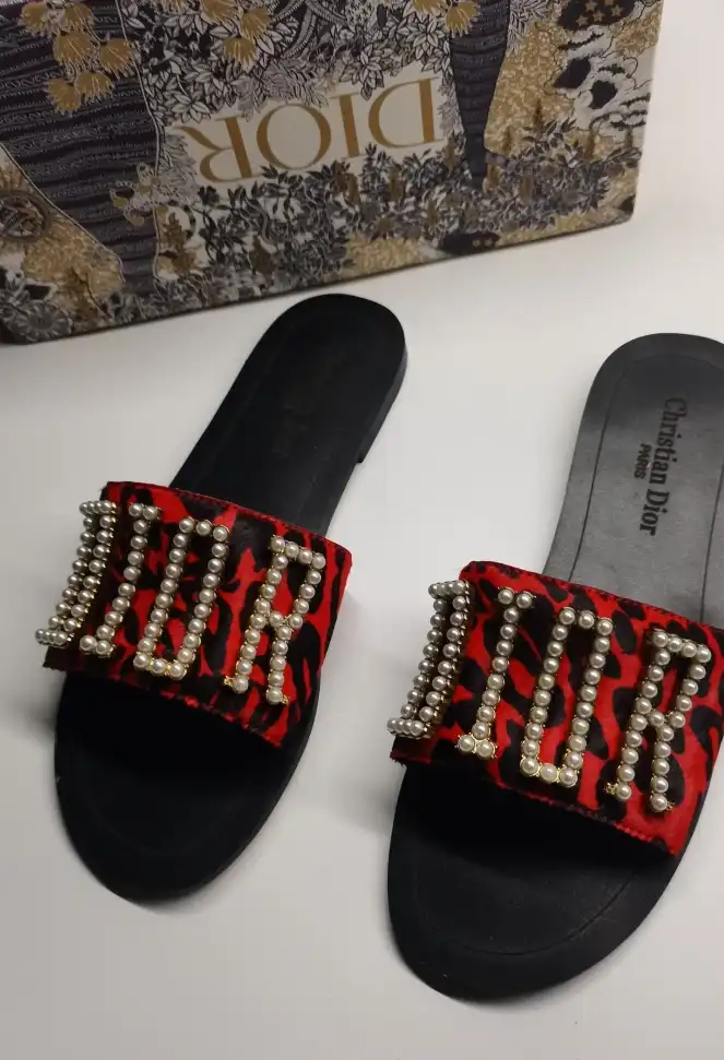 hype Christian Dior Slippers