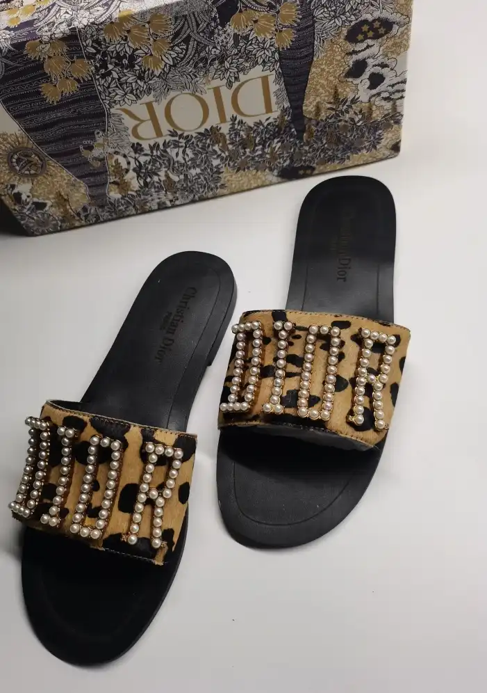 hype Christian Dior Slippers