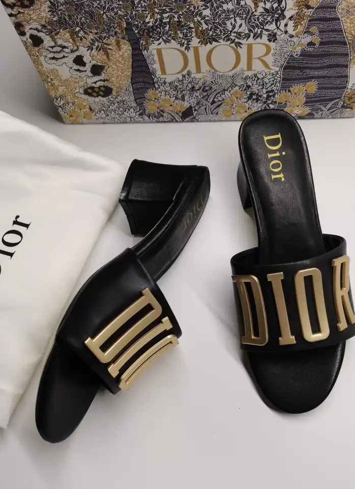 hype Christian Dior Slippers