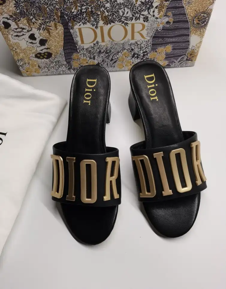 hype Christian Dior Slippers