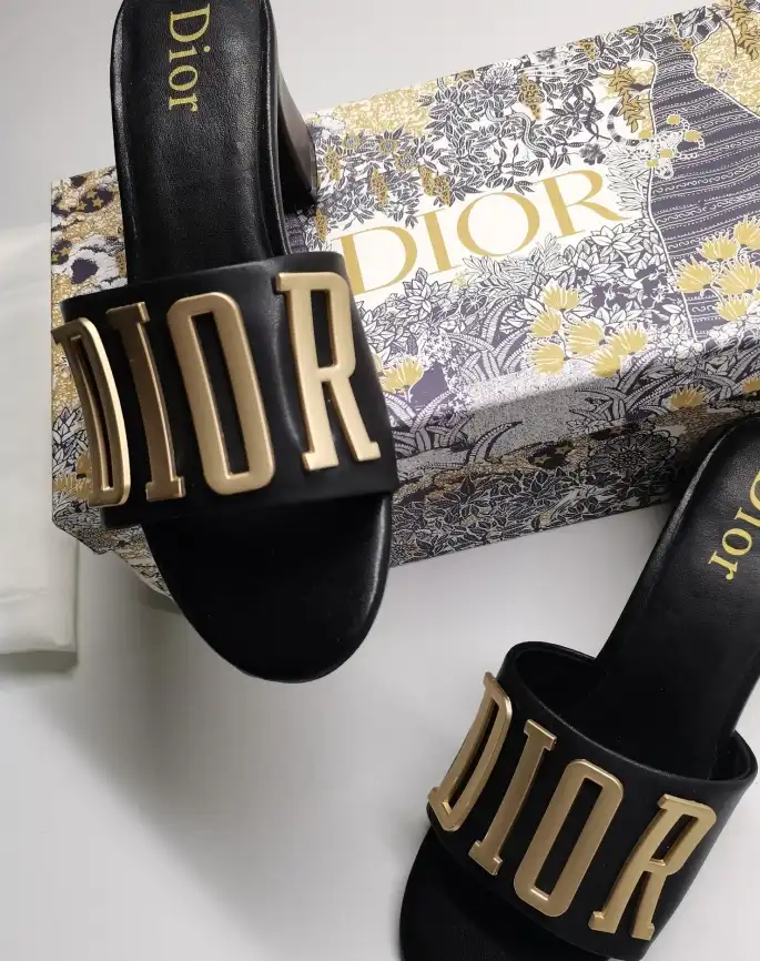 hype Christian Dior Slippers