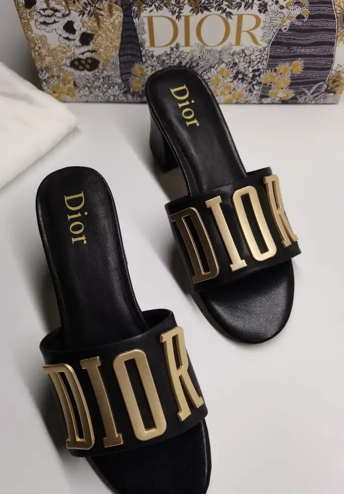 hype Christian Dior Slippers