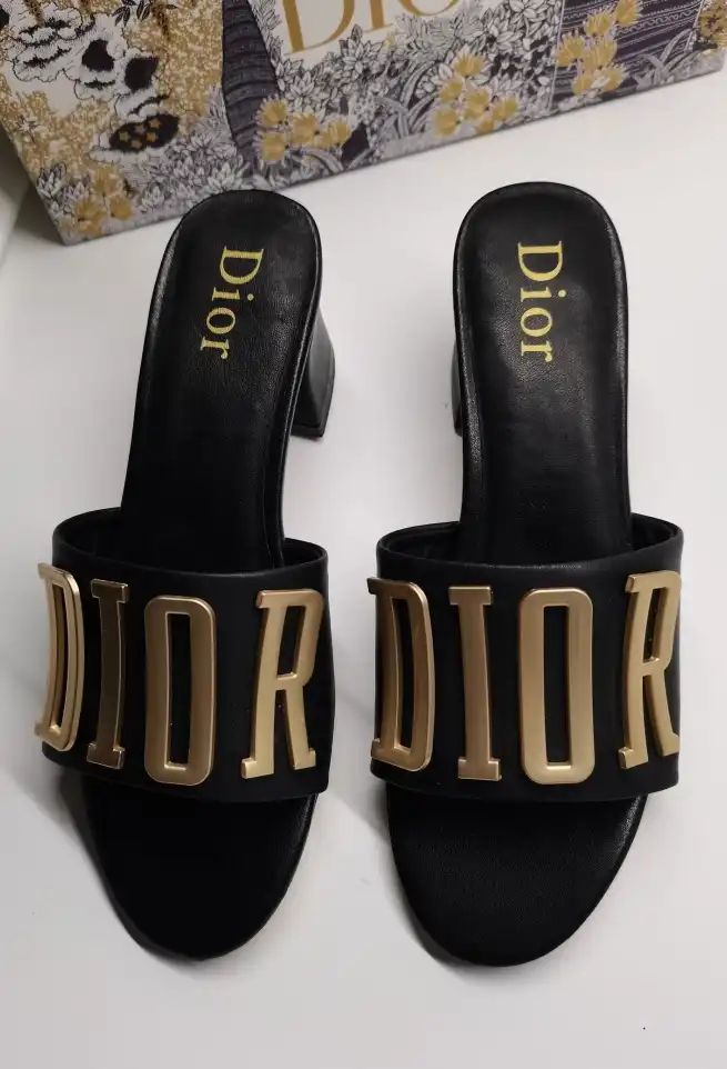 hype Christian Dior Slippers