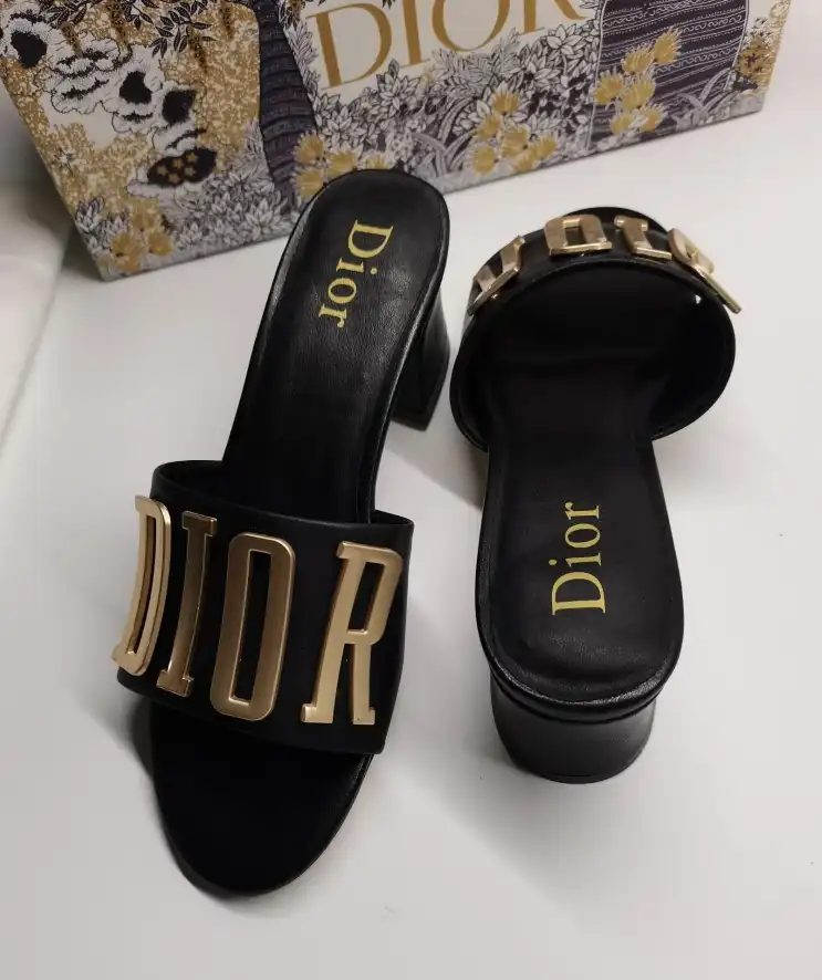 hype Christian Dior Slippers