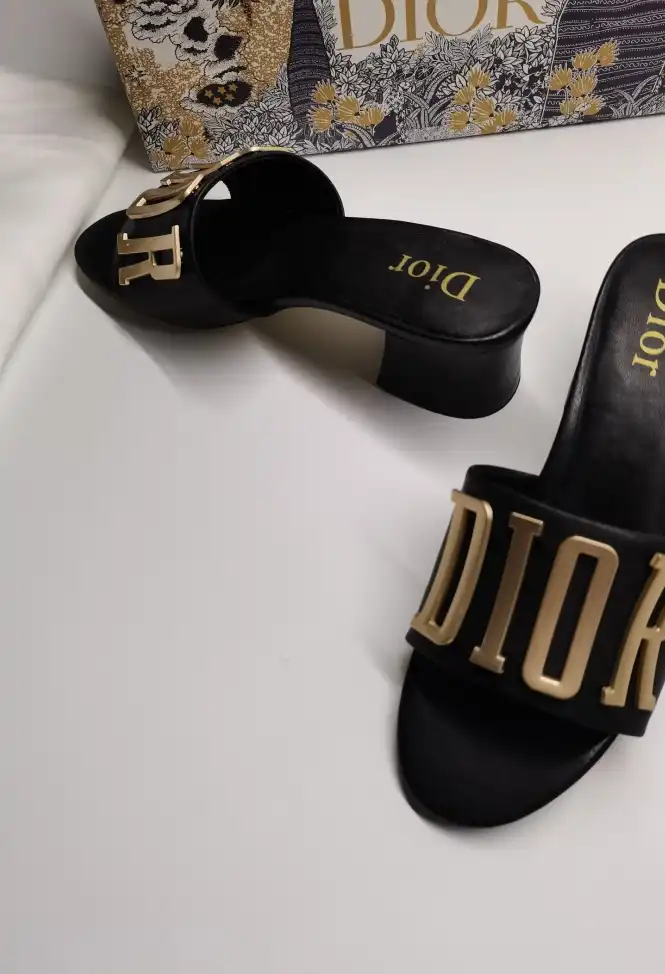 hype Christian Dior Slippers