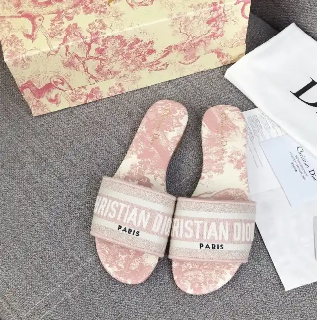 hype Christian Dior Slippers