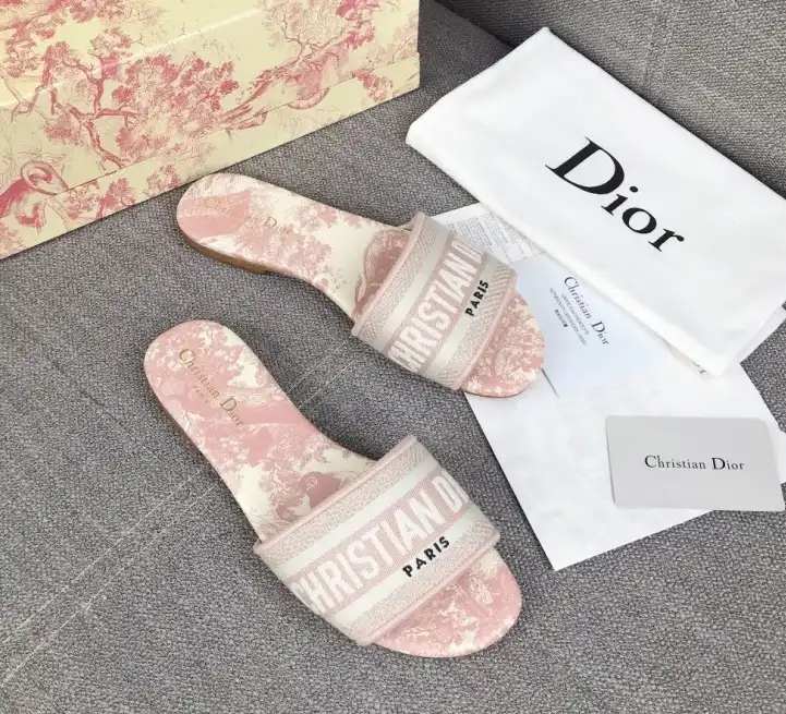 hype Christian Dior Slippers