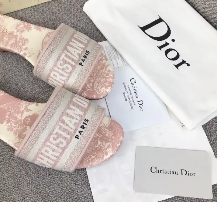 hype Christian Dior Slippers