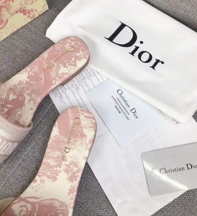 hype Christian Dior Slippers