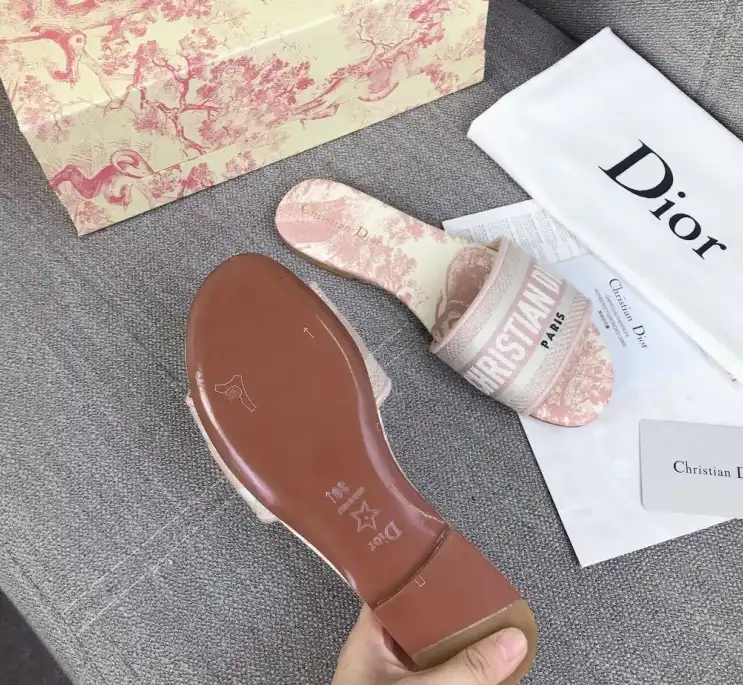 hype Christian Dior Slippers