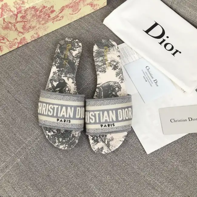 hype Christian Dior Slippers