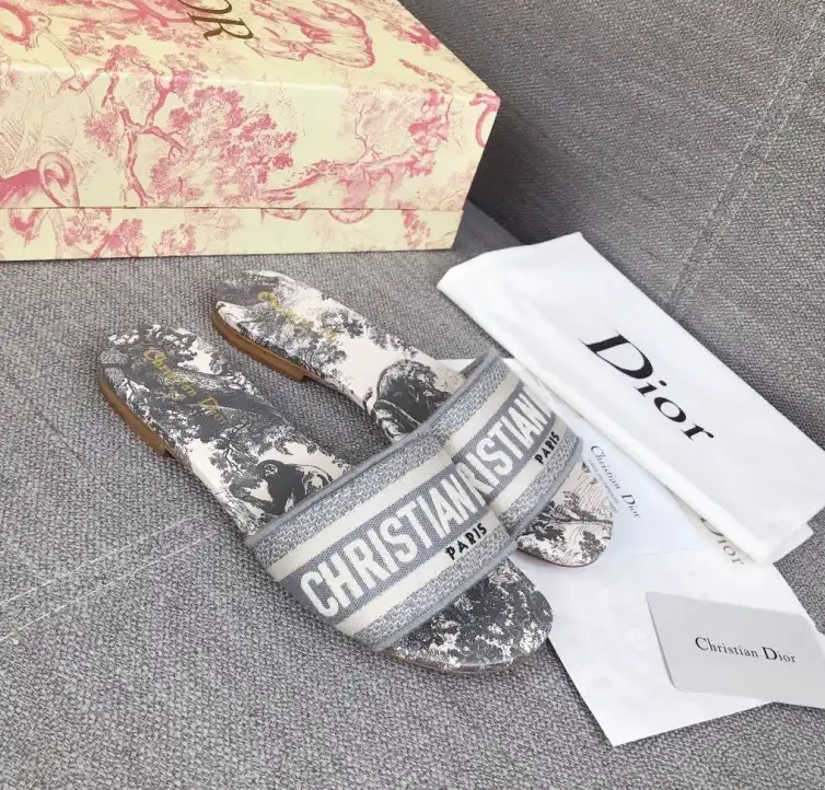 hype Christian Dior Slippers