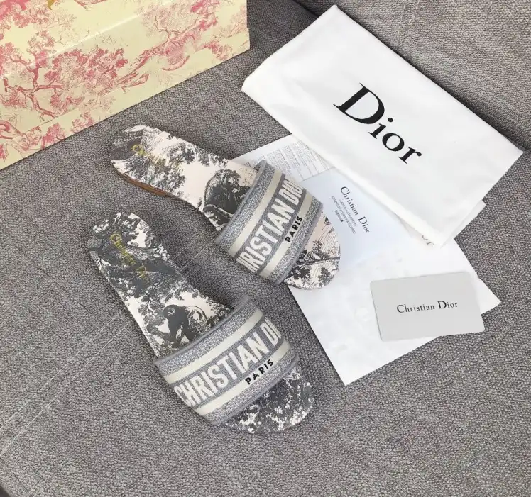 hype Christian Dior Slippers