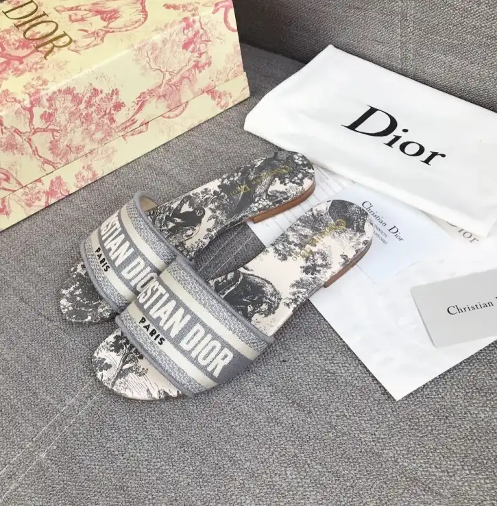 hype Christian Dior Slippers